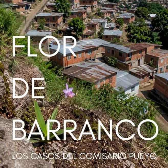 flor de barranco Flor-de-barranco